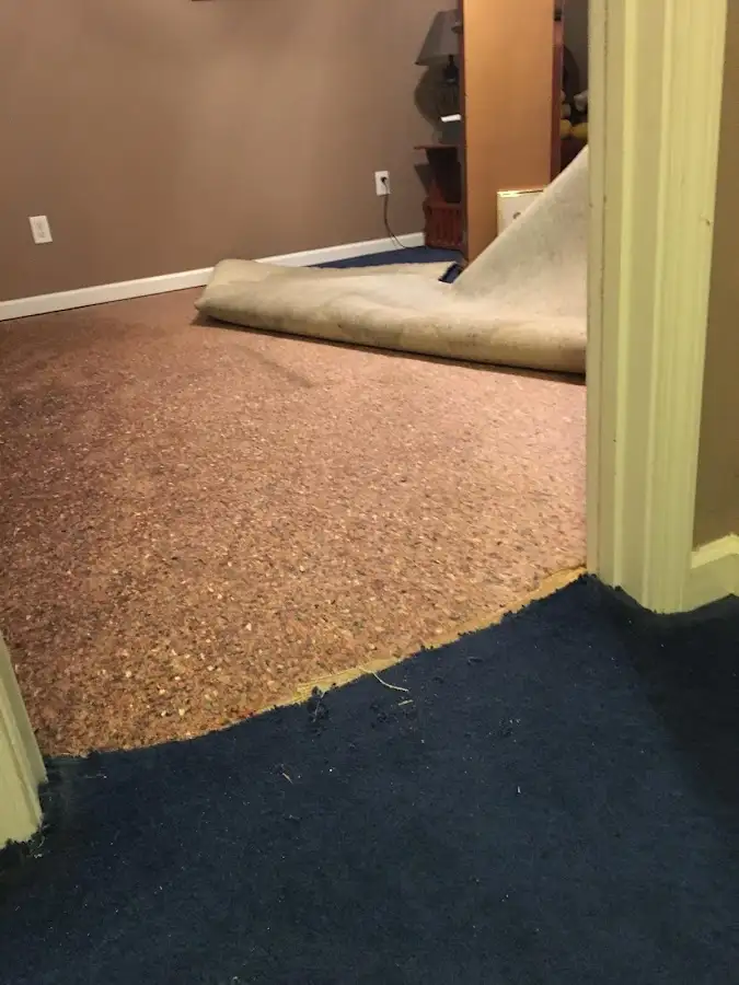 Carpet pad removal revealing water damage during Water Mitigation Services in Helena