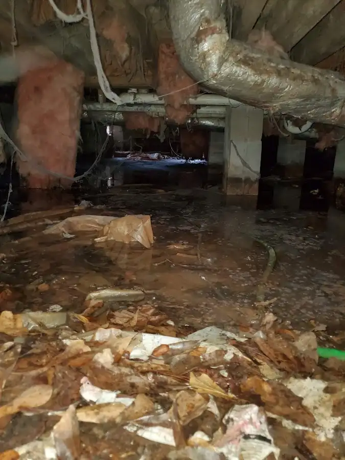 Crawl space flood assessment for Commercial Water Damage Restoration in Helena